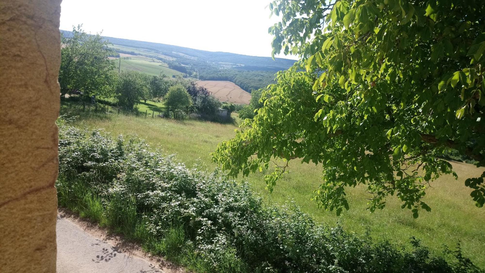 Une Maison De Campagne En Bourgogne Du Sud Турню Экстерьер фото